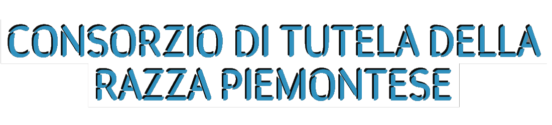 Descrizione non disponibile