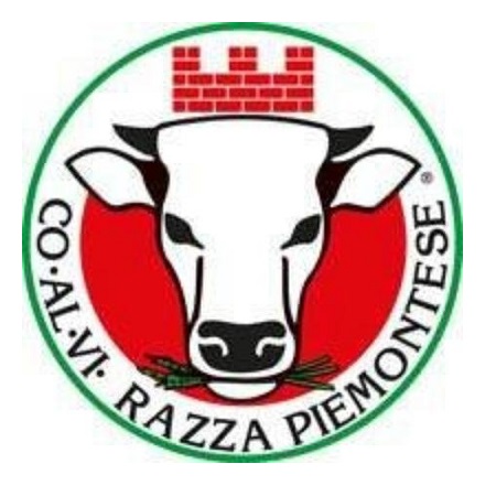 Logo non disponibile